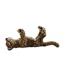 Cheetah baby lying down