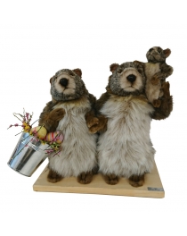 Two Easter marmots