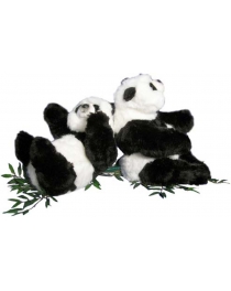 Two little pandas
