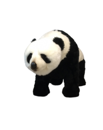 Standing Panda